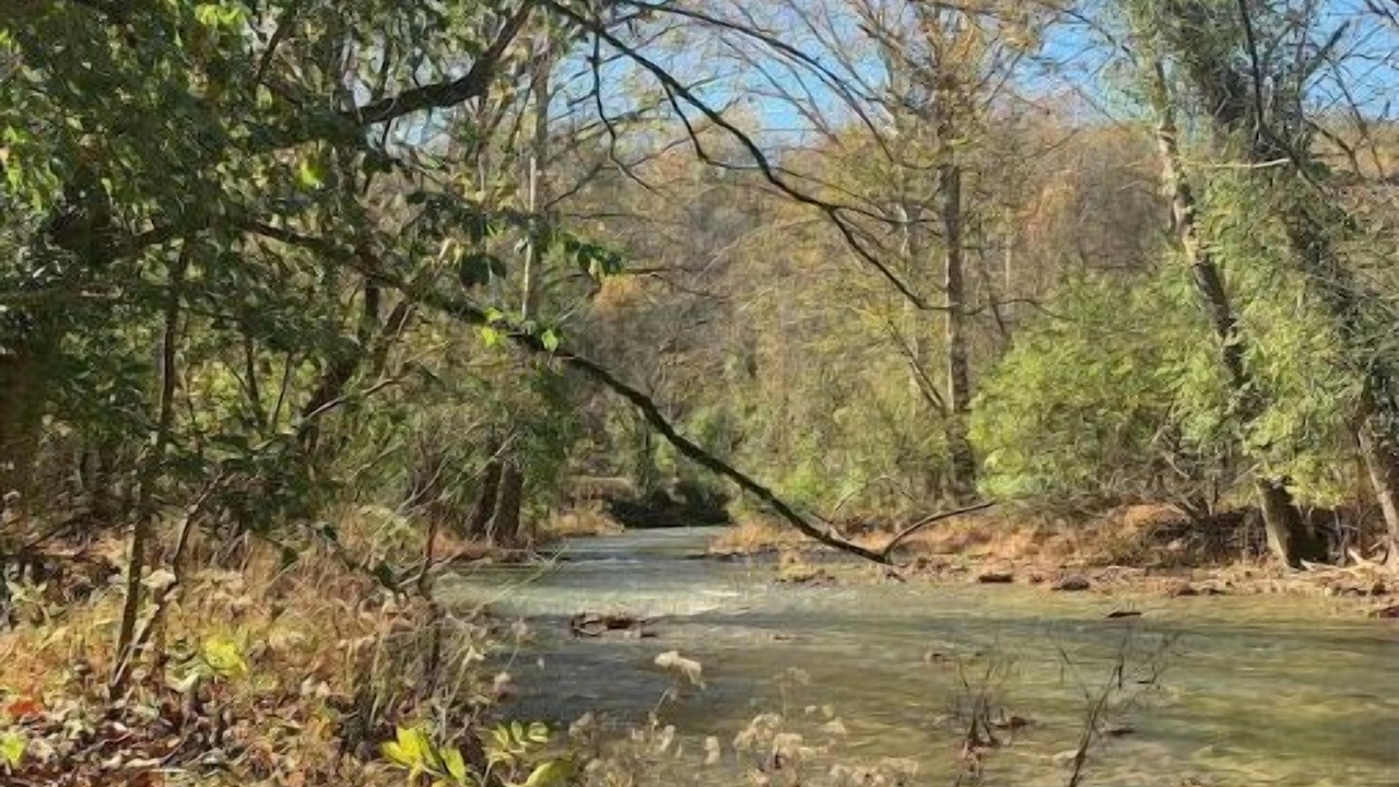 Photo of Others in Versailles