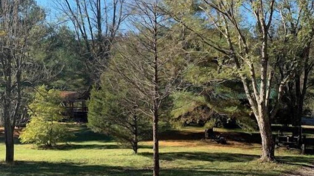 Photo of Outdoor in Versailles
