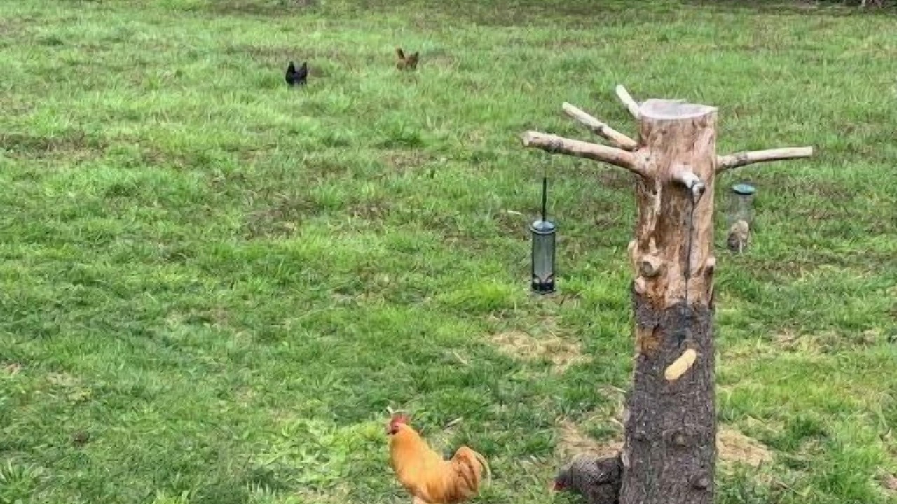 Photo of Outdoor in Versailles