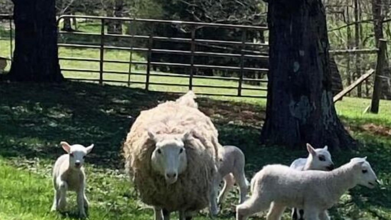 Photo of Outdoor in Versailles