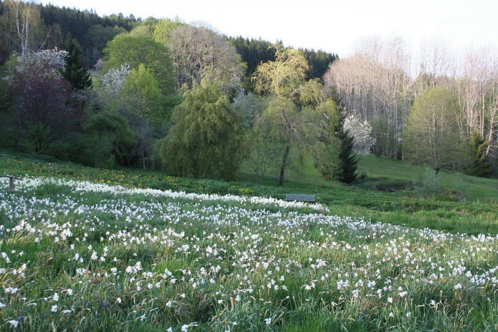Photo of Others in Granges-Aumontzey