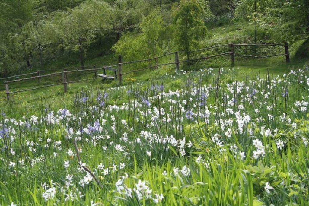 Photo of Outdoor in Granges-Aumontzey