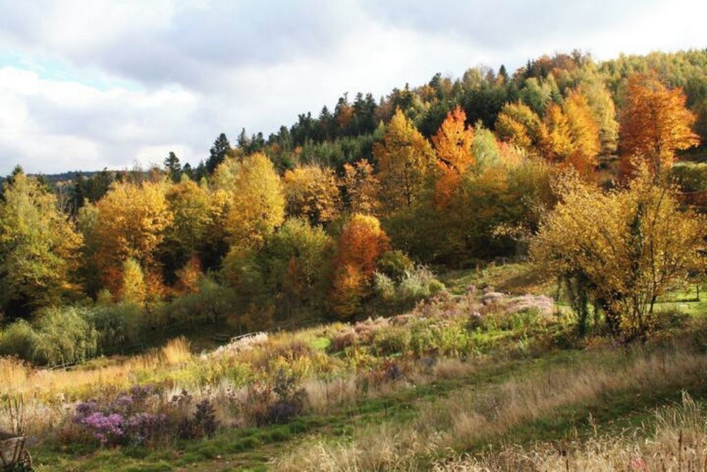Photo of Others in Granges-Aumontzey