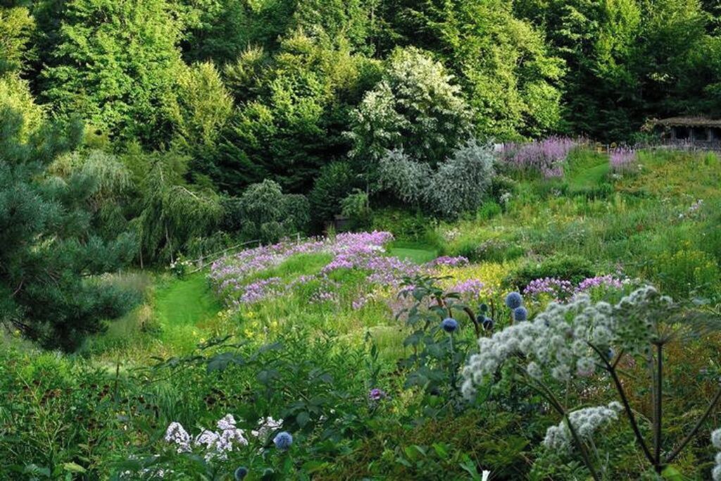 Photo of Outdoor in Granges-Aumontzey