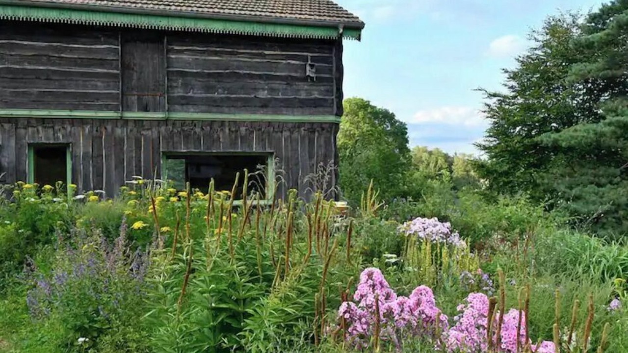 Photo of Outdoor in Granges-Aumontzey