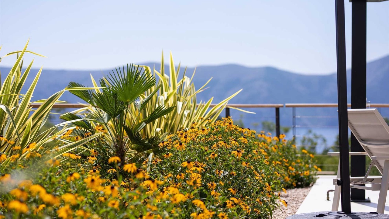 Photo of Outdoor in Brzac