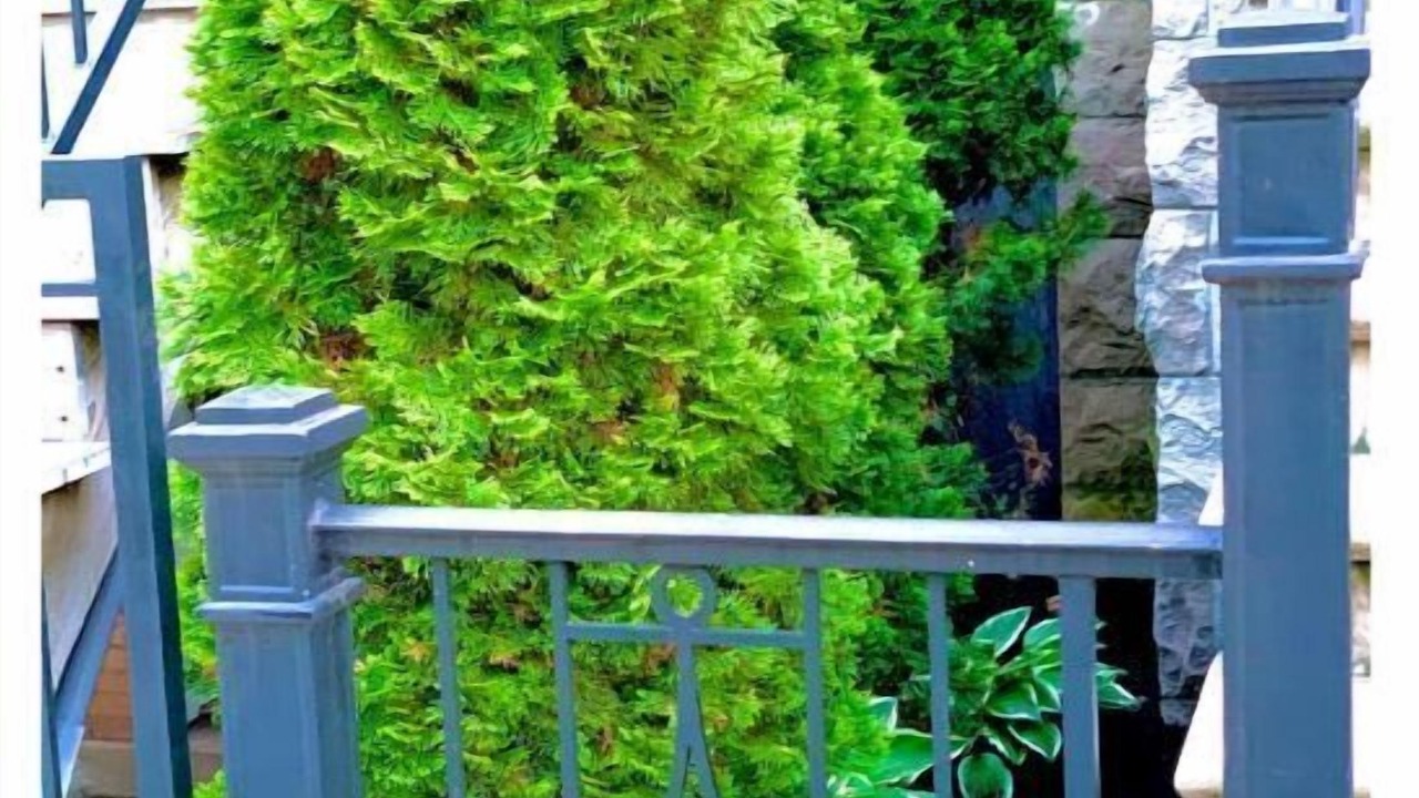 Photo of Outdoor in Bucktown