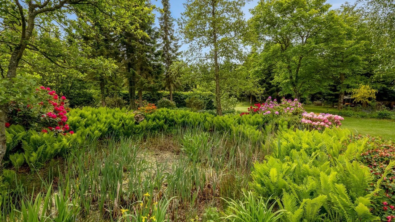 Photo of Outdoor in Bækmarksbro