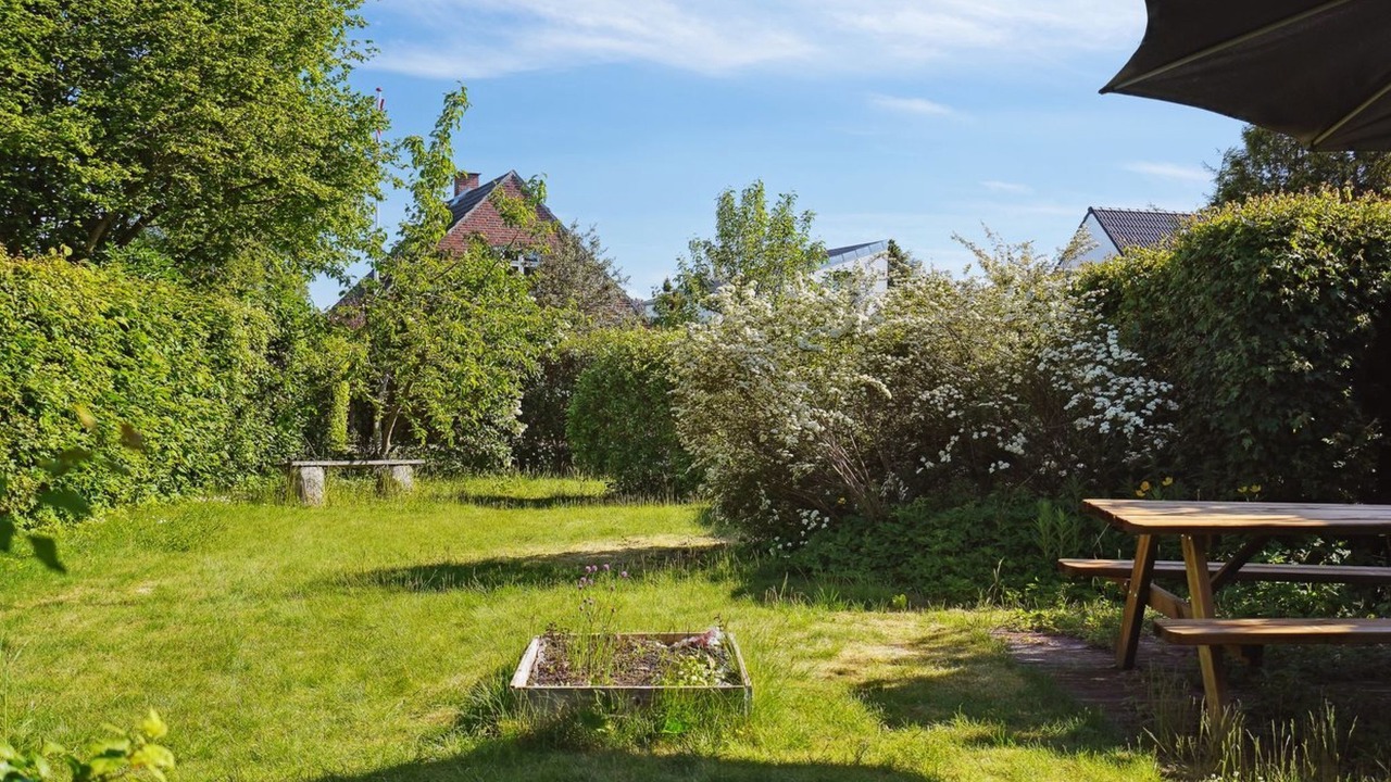 Photo of Others in Odder