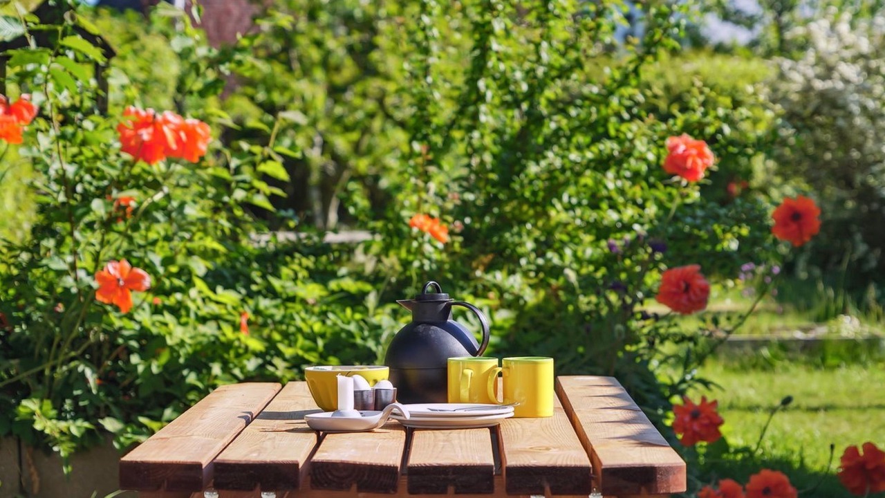 Photo of Others in Odder