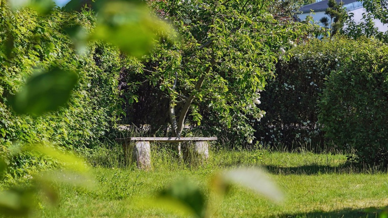 Photo of Others in Odder