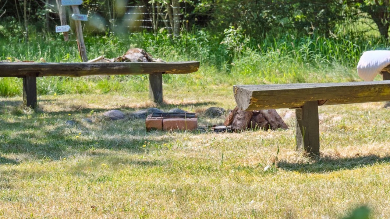 Photo of Others in Fur