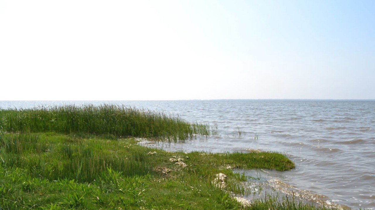 Photo of Others in Ballum