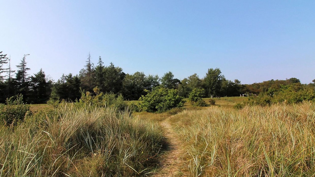 Photo of Outdoor in Gedesby
