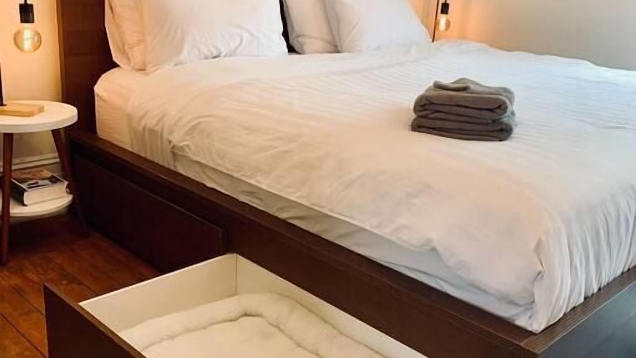 Photo of Others in North End