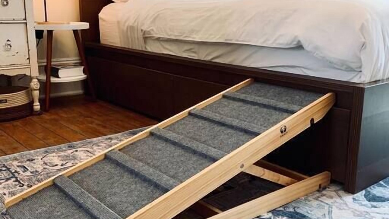 Photo of Others in North End