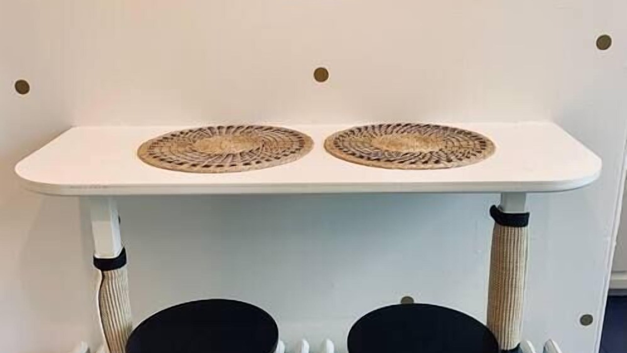 Photo of Others in North End