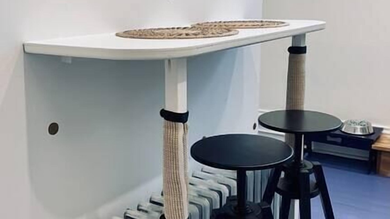 Photo of Others in North End