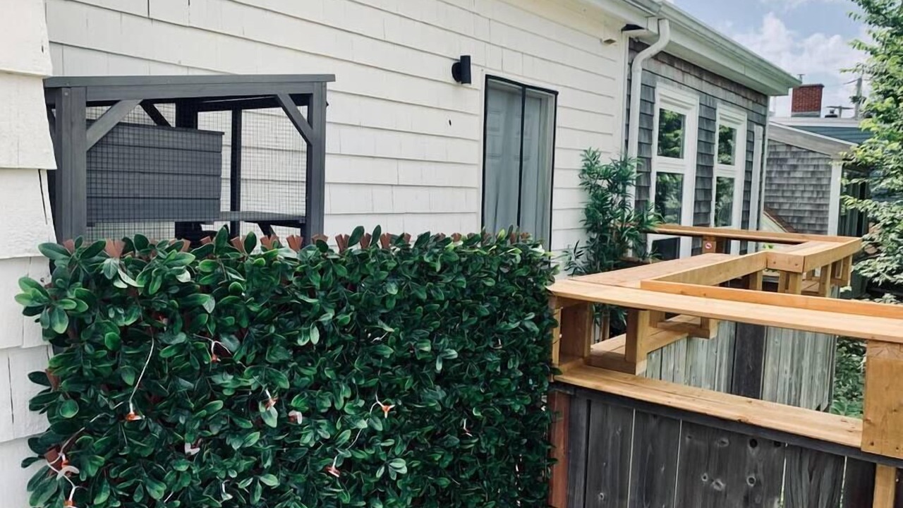 Photo of Outdoor in North End