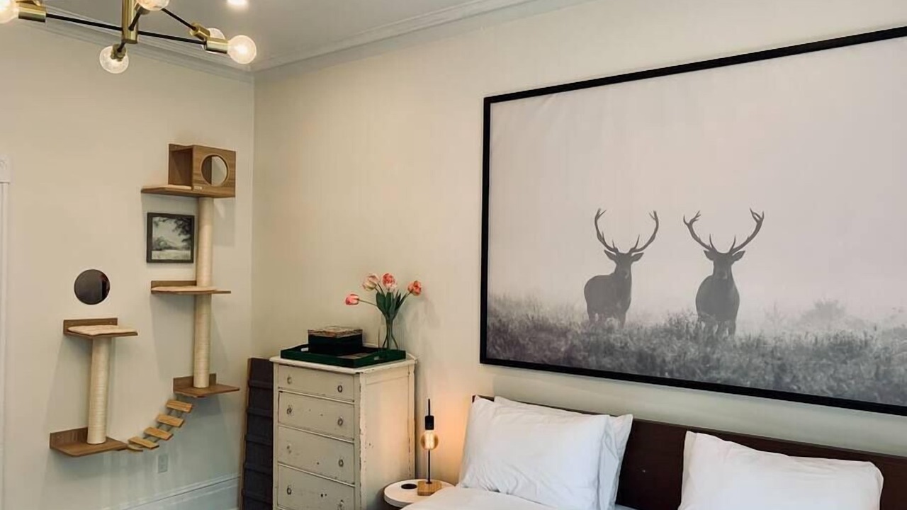 Photo of Bedroom in North End