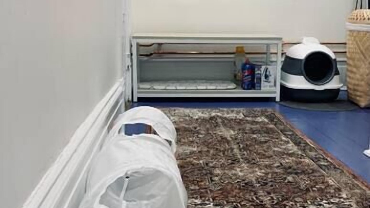 Photo of Bedroom in North End