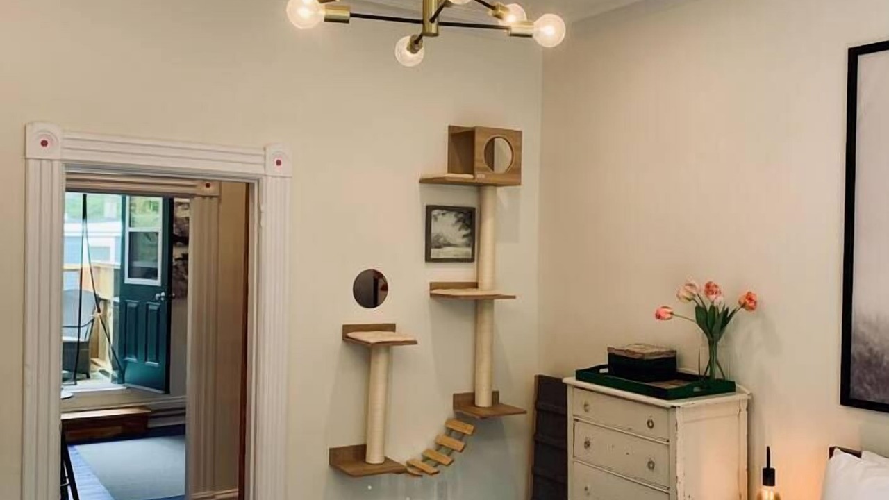 Photo of Others in North End