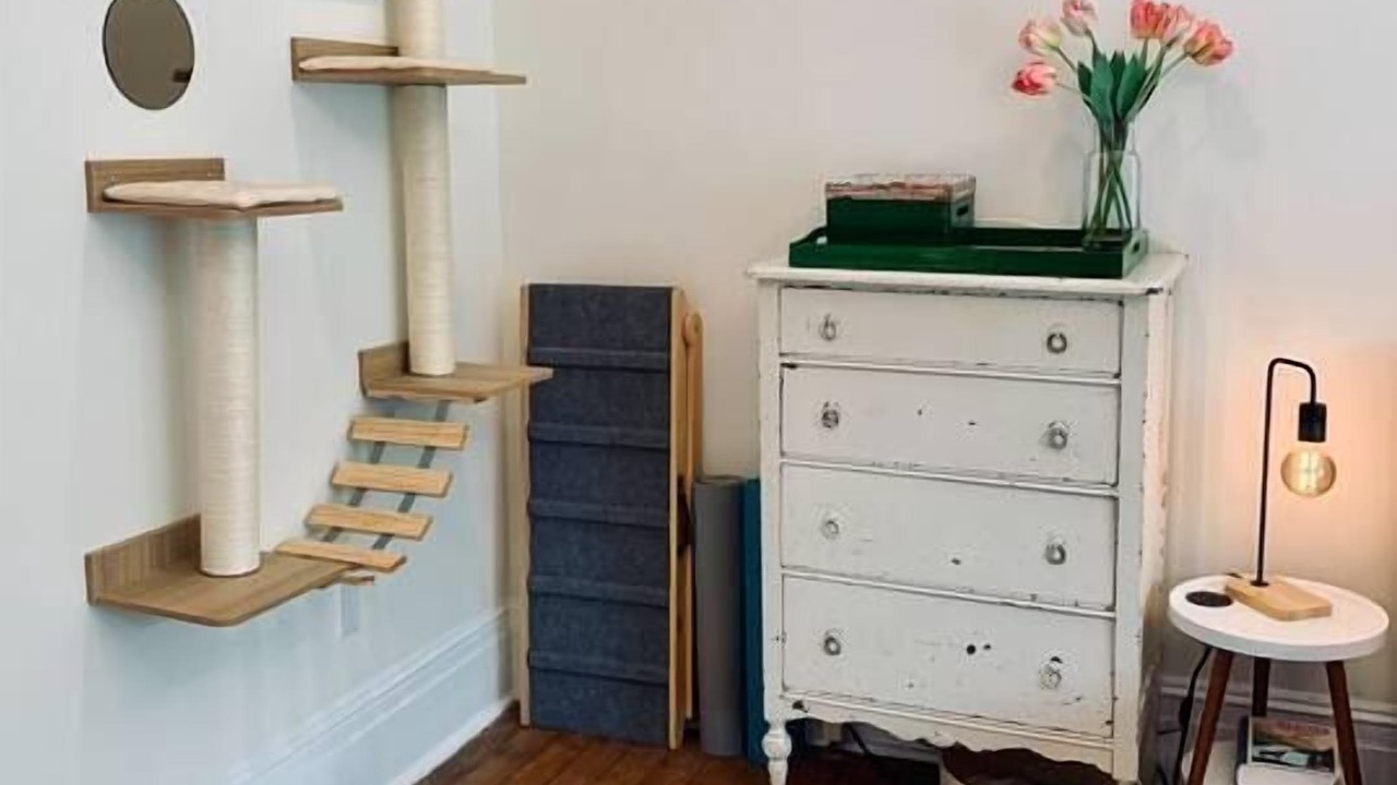 Photo of Others in North End