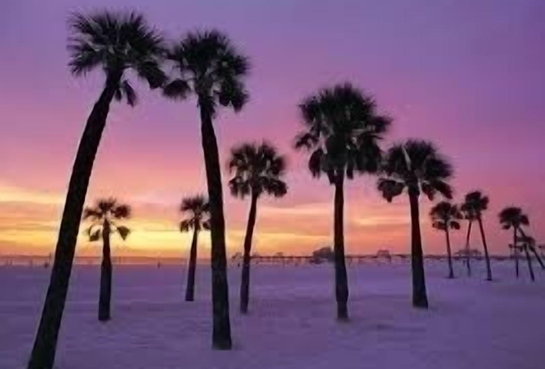 Photo of Others in Dunedin