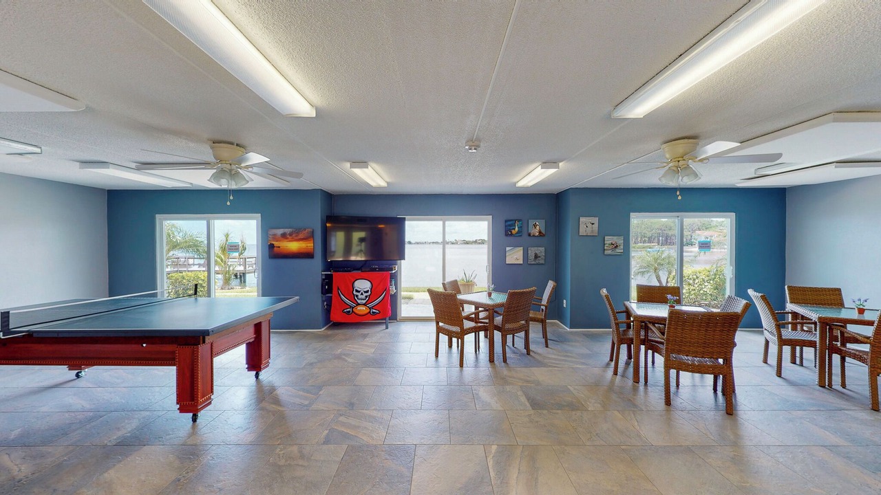 Photo of Others in Dunedin