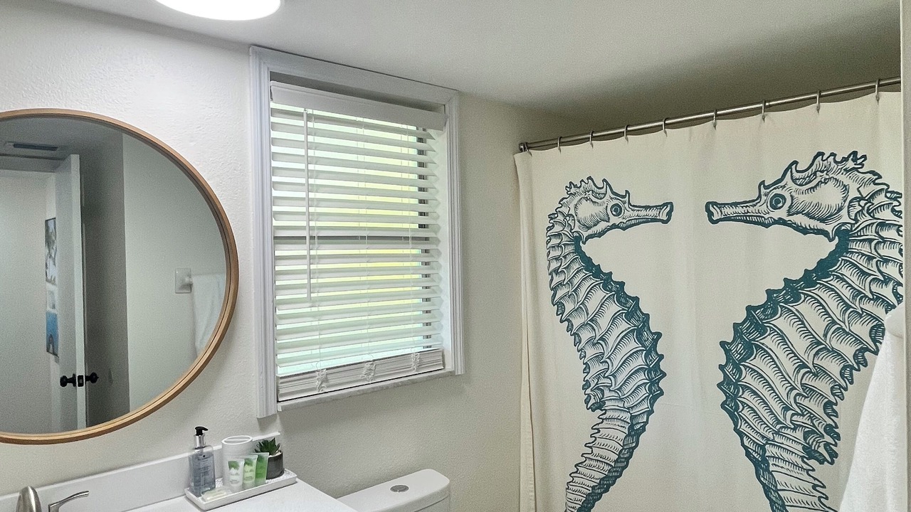 Photo of Bathroom in Dunedin