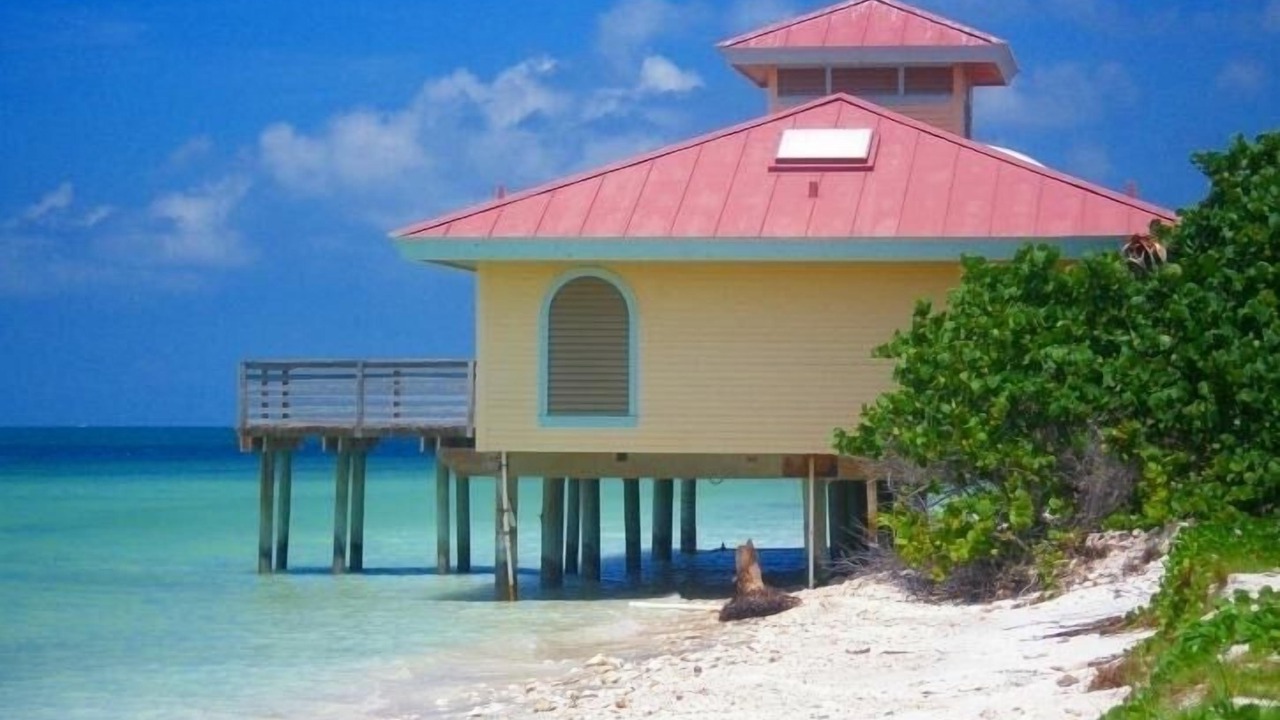 Photo of Others in Dunedin