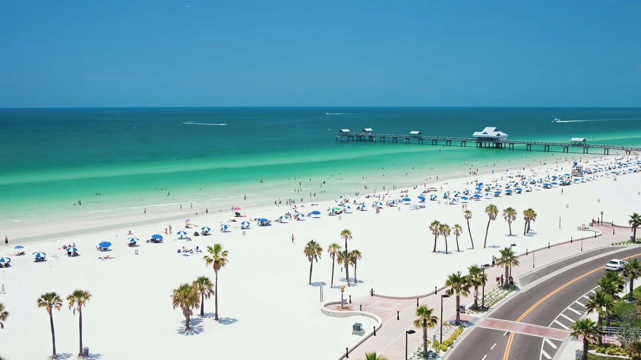 Photo of Others in Dunedin