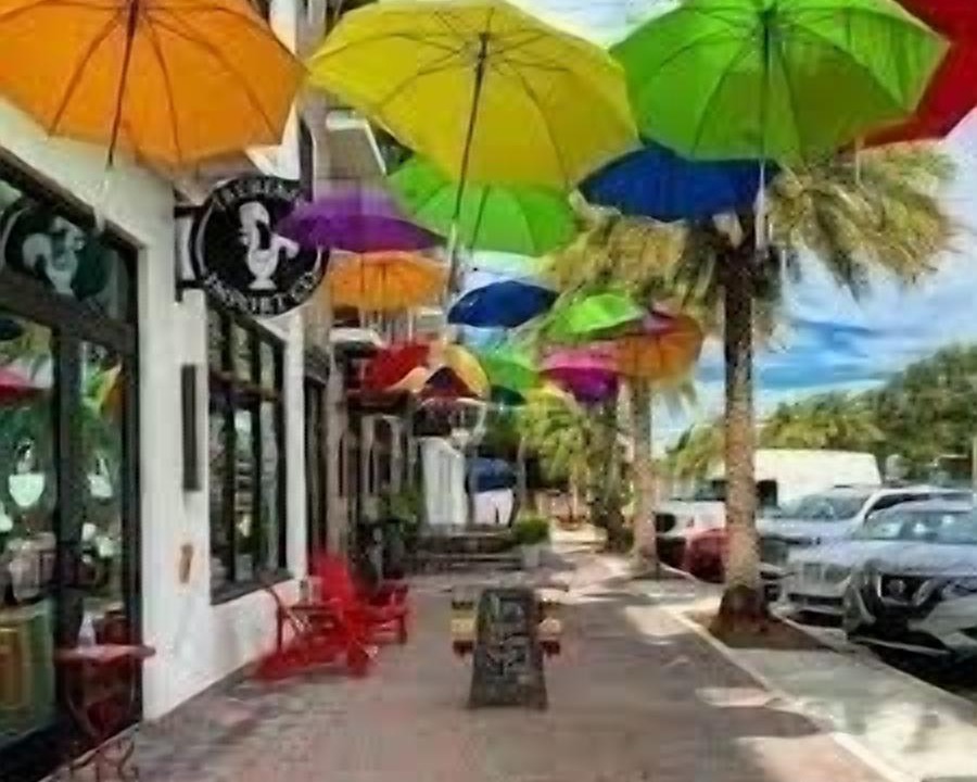 Photo of Others in Dunedin