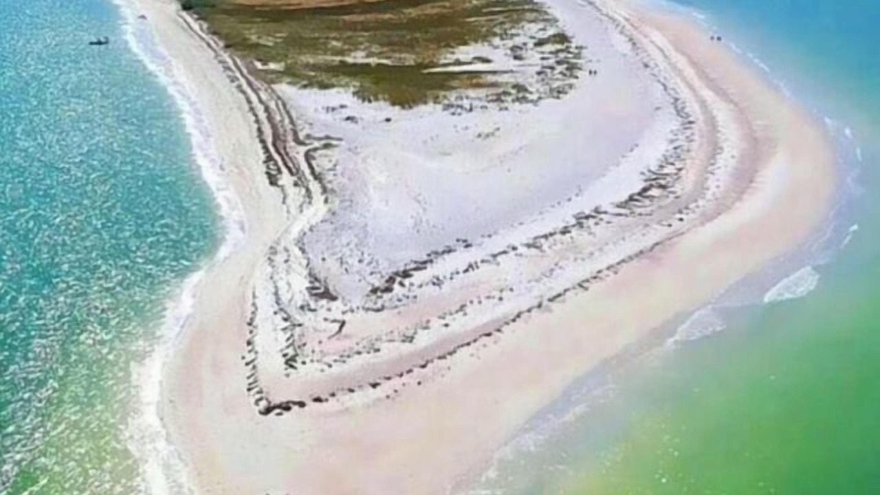 Photo of Others in Dunedin