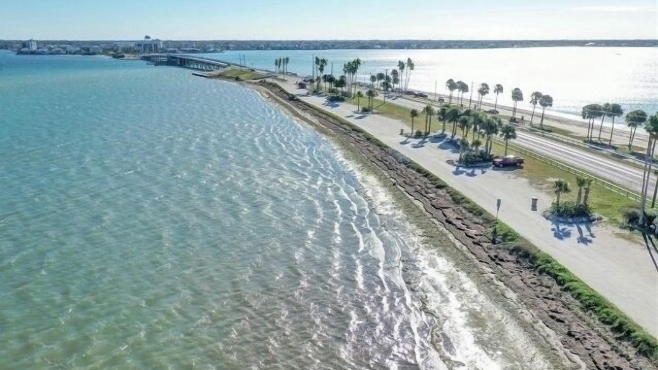 Photo of Others in Dunedin