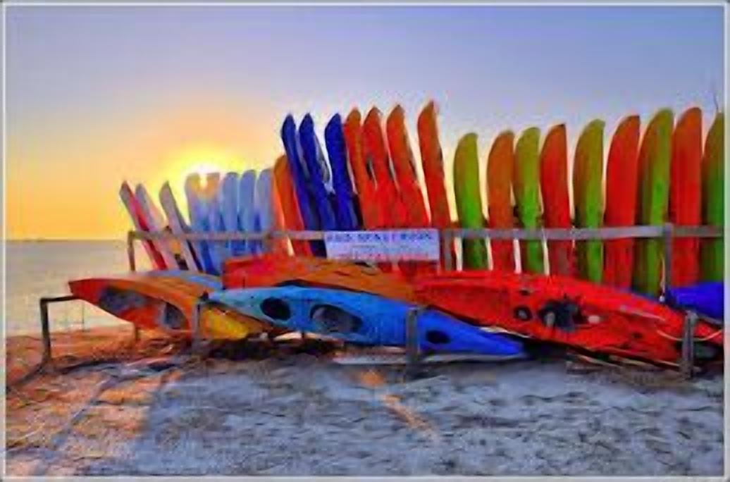 Photo of Others in Dunedin