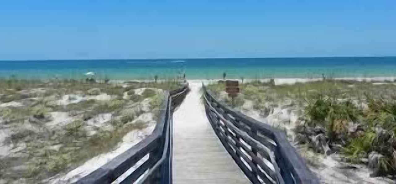 Photo of Others in Dunedin