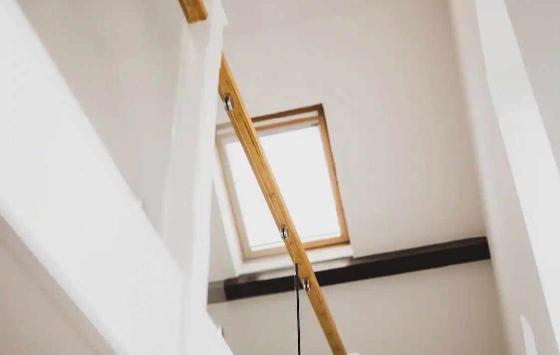 Photo of Others in New Forest District