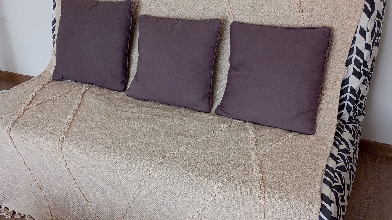 Photo of Others in Montreuil-Bellay