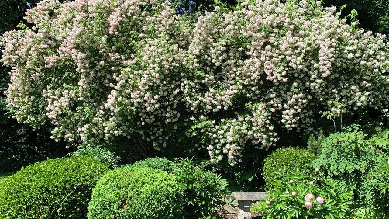 Photo of Outdoor in Stockbridge