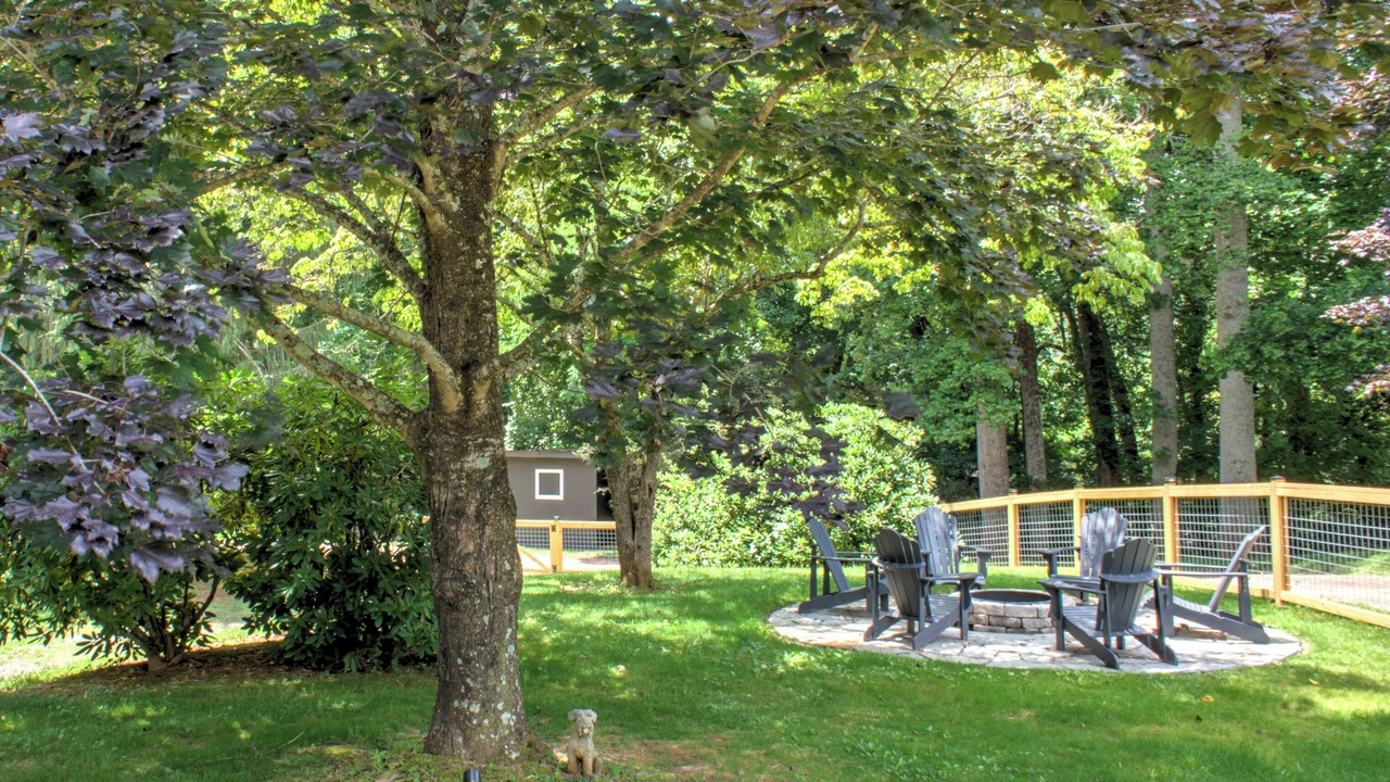 Photo of Others in Skyland