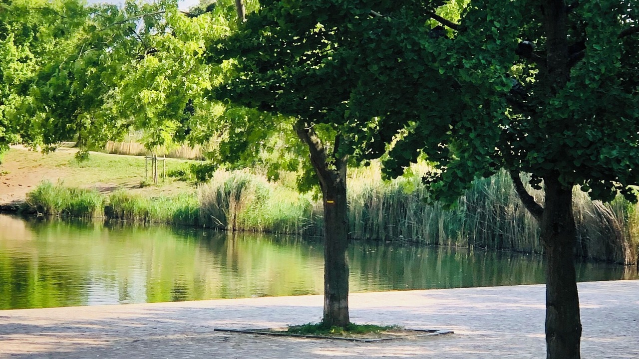 Photo of Outdoor in Champeval