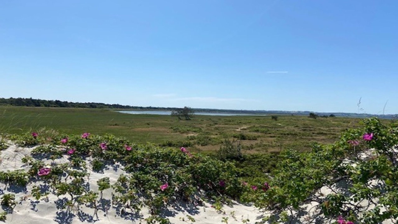 Photo of Outdoor in Hojby