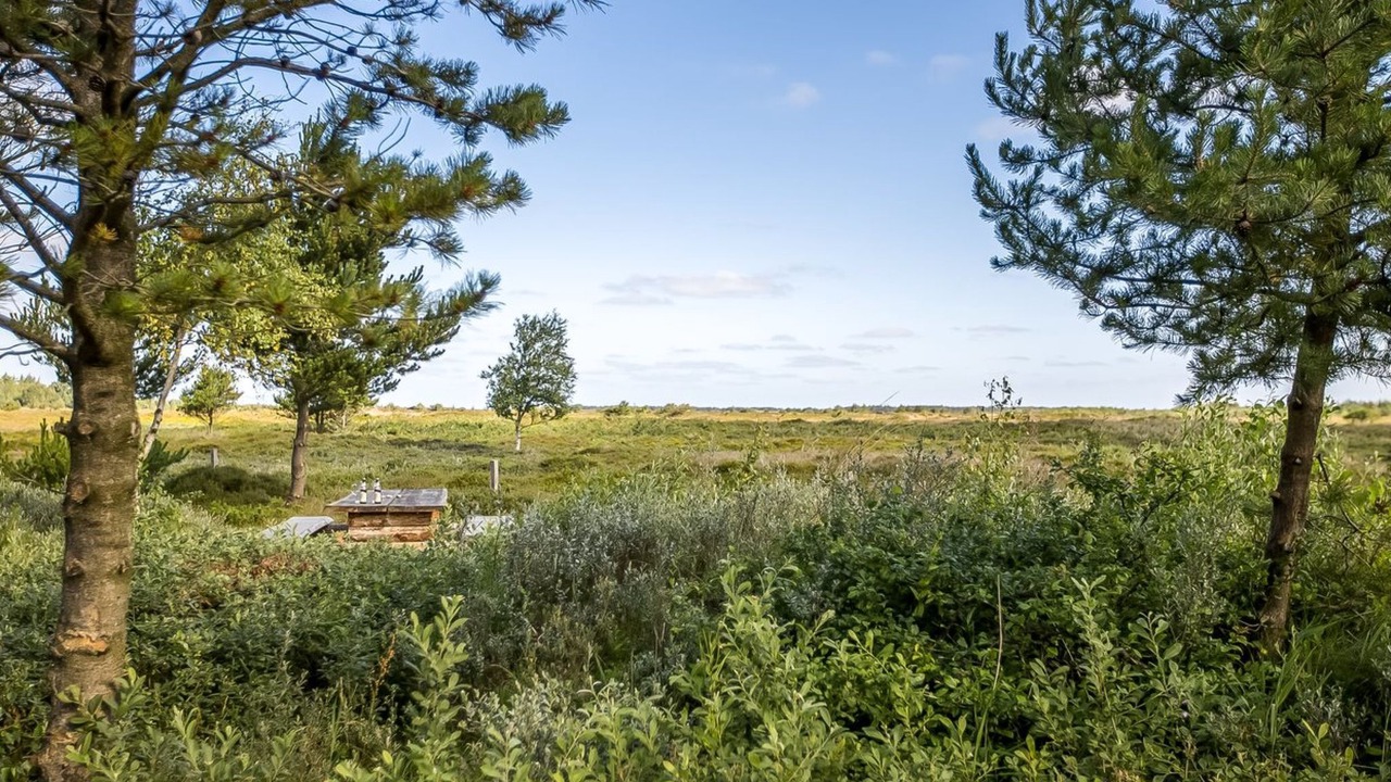 Photo of Others in Kongsmark