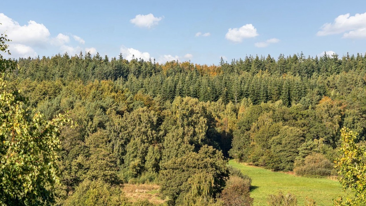 Photo of Others in Femmøller