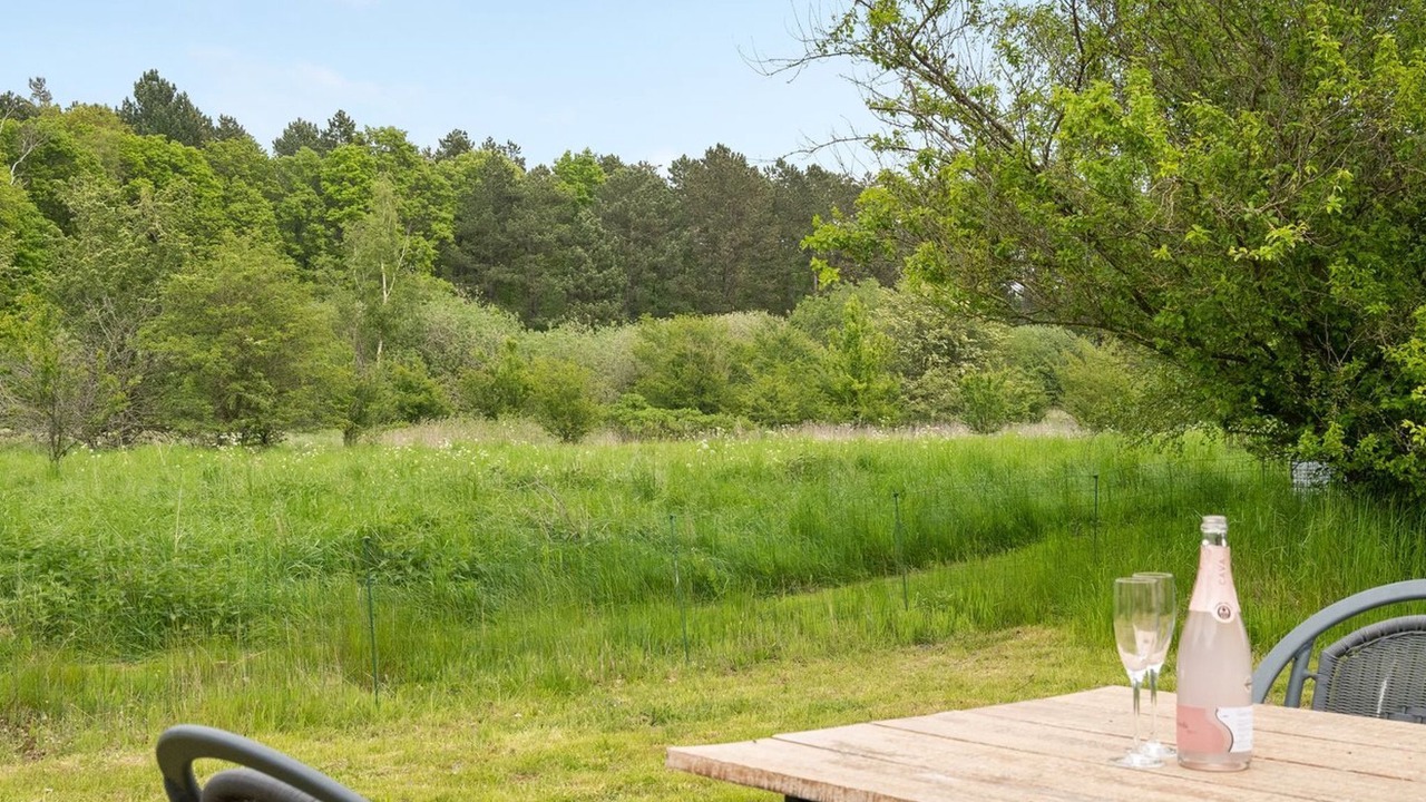 Photo of Others in Vibæk Strand