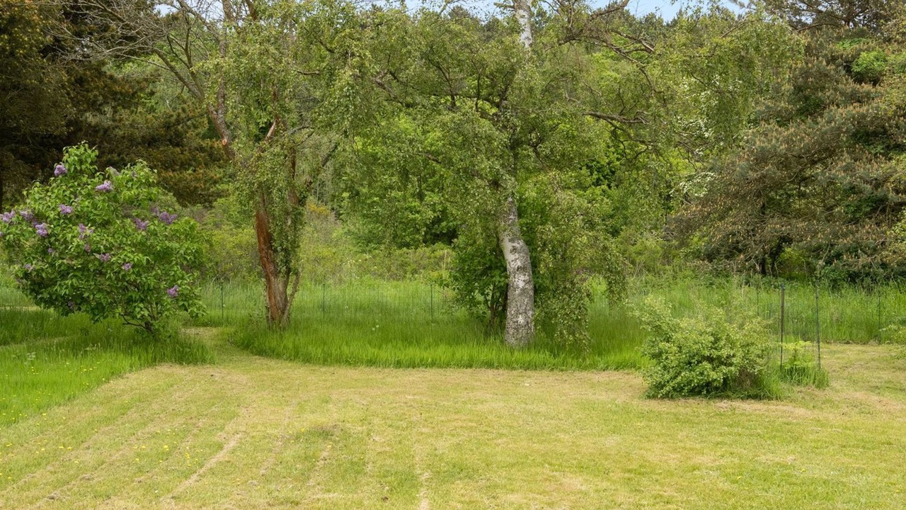 Photo of Others in Vibæk Strand