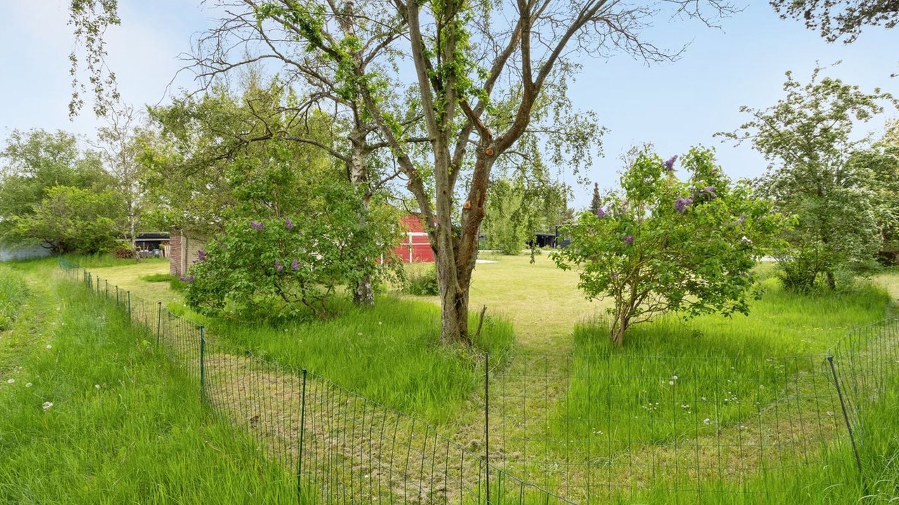 Photo of Others in Vibæk Strand