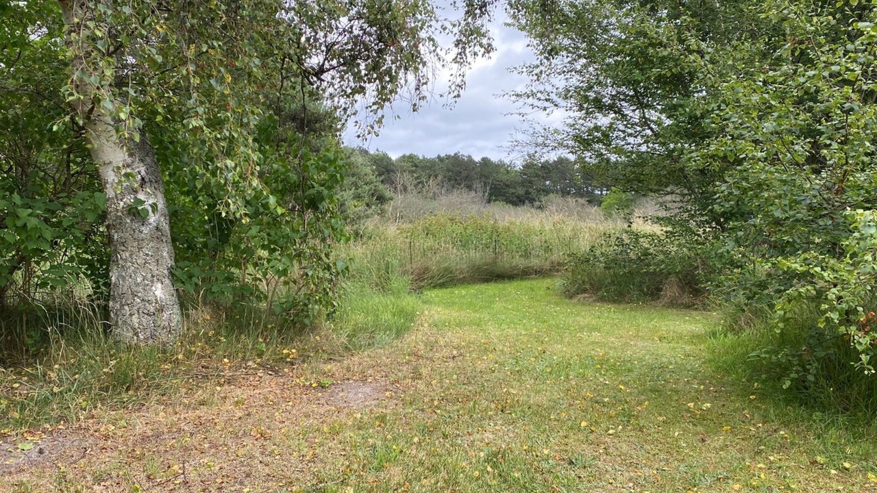 Photo of Others in Vibæk Strand