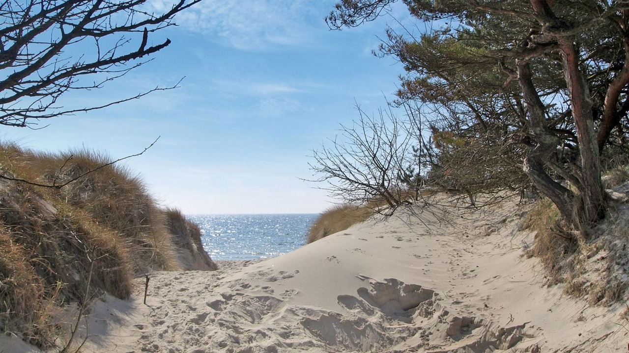 Photo of Outdoor in Dueodde